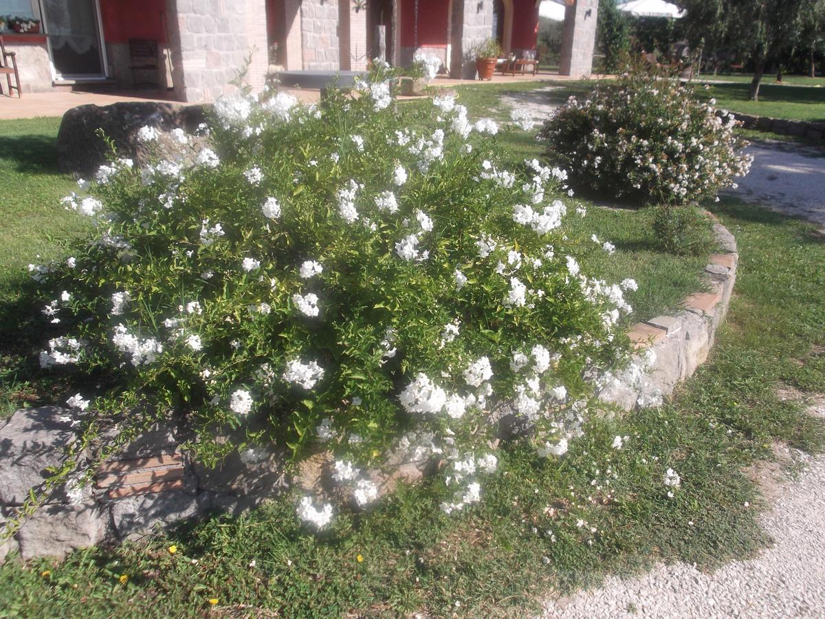 Agriturismo Casal Grande Canepina 外观 照片