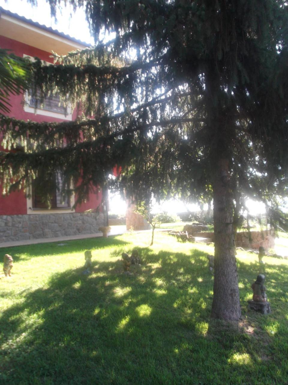 Agriturismo Casal Grande Canepina 外观 照片
